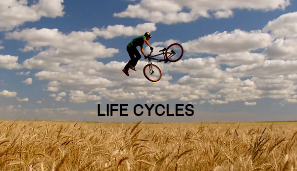 – Life Cycles –
